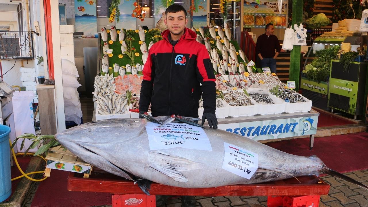 Samsun'da yine dev Orkinos ilgi gördü