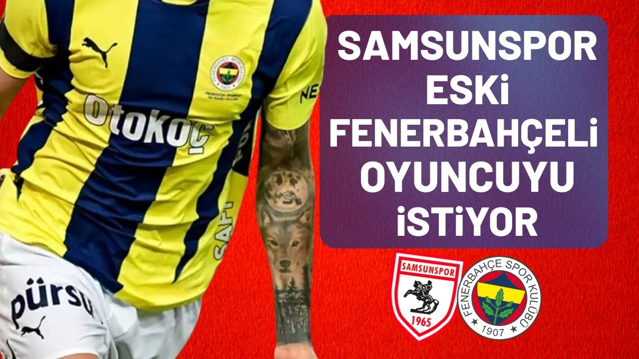 Samsunspor eski Fenerbahçeli oyuncuyu istiyor