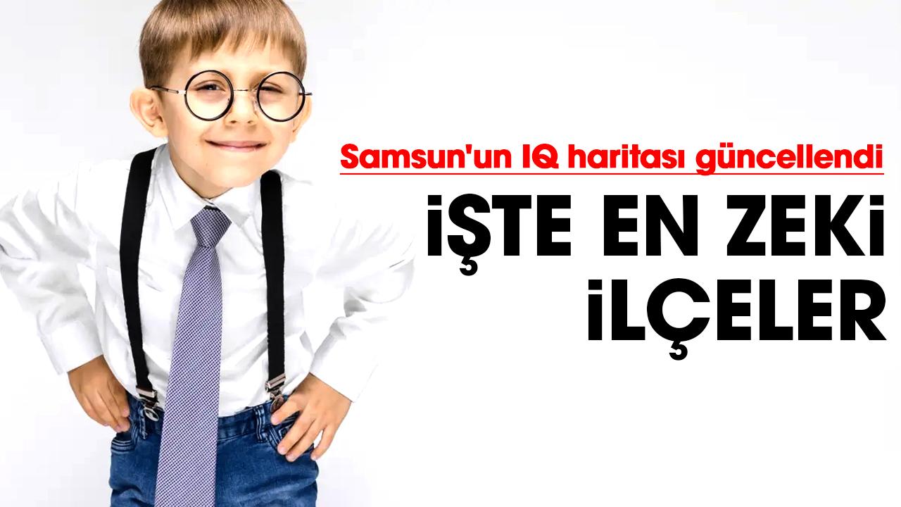 Samsun'un IQ haritası güncellendi! İşte en zeki ilçeler