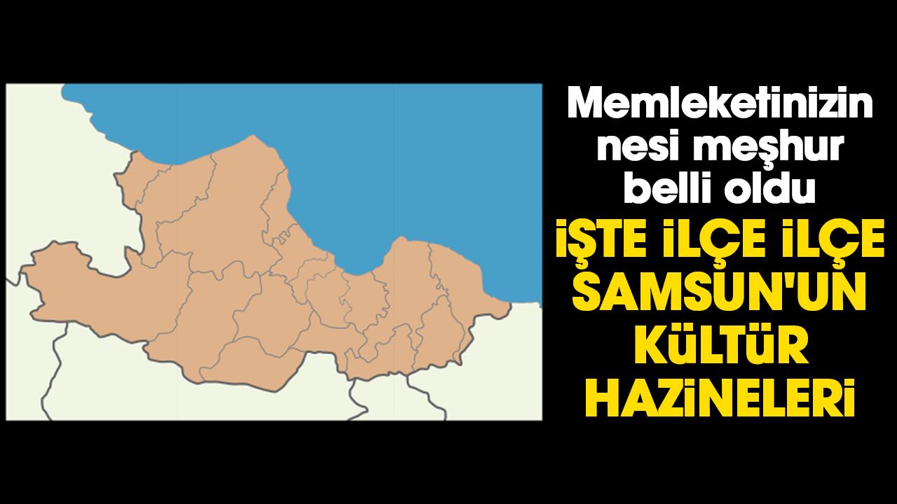 Samsun'un nesi meşhur belli oldu: İşte ilçe ilçe Samsun'un kültür hazineleri