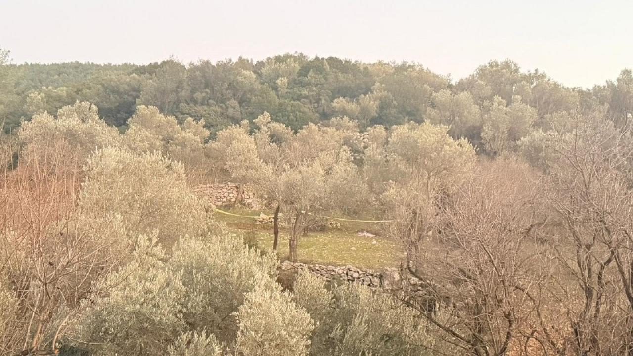Tarlada aniden fenalaştı! Hayatın kaybetti