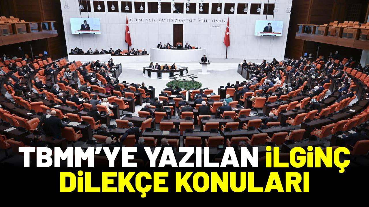 TBMM'ye yazılan ilginç dilekçeler gündem oldu