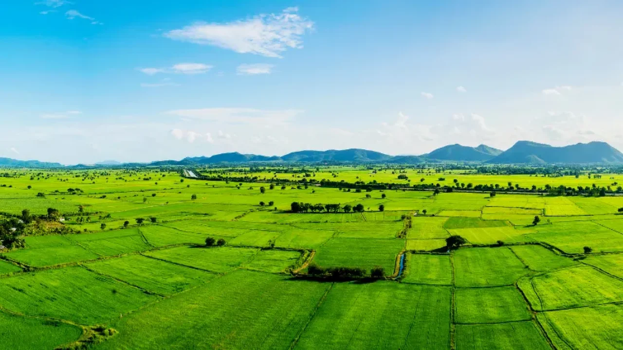 TOKİ kendi evini yapacaklara 29 ilde 244 arsa satacak