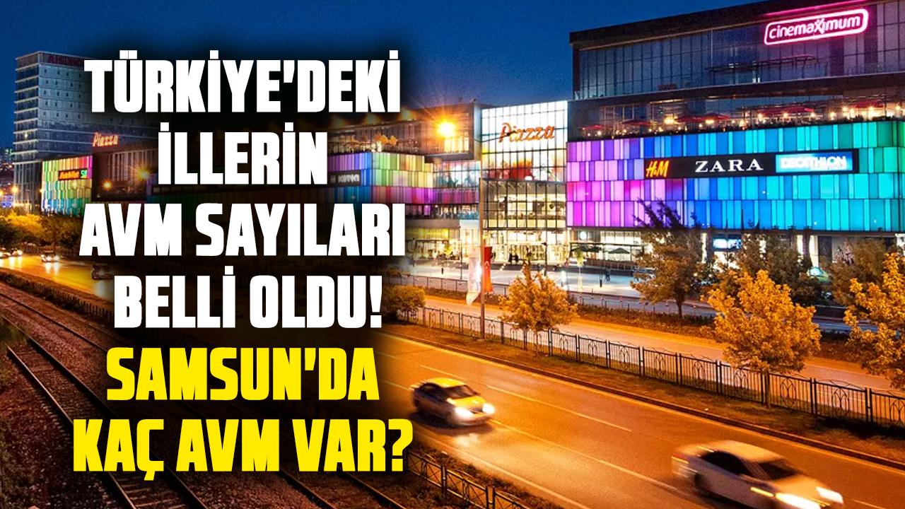 Türkiye'deki illerin AVM sayıları belli oldu! Samsun'da kaç AVM var?