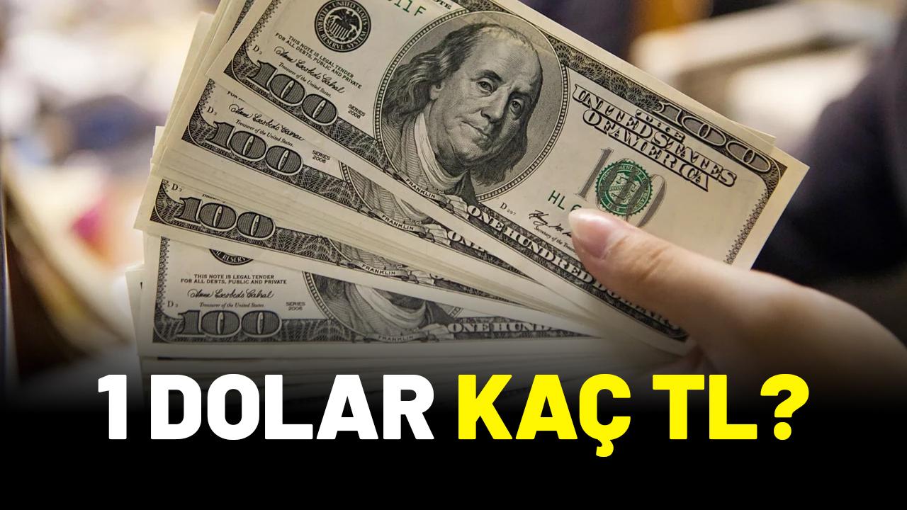 1 dolar kaç TL?