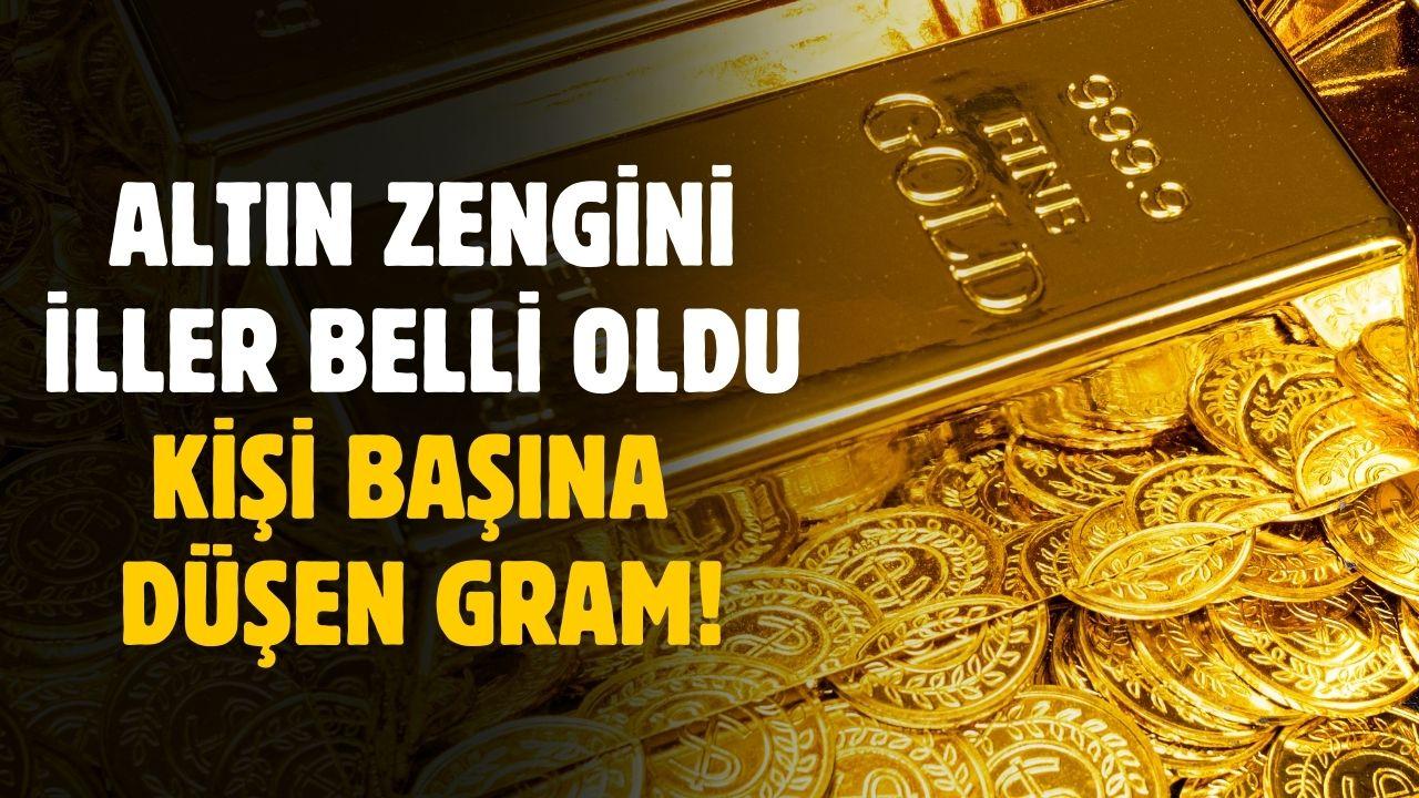 Altın zengini iller belli oldu