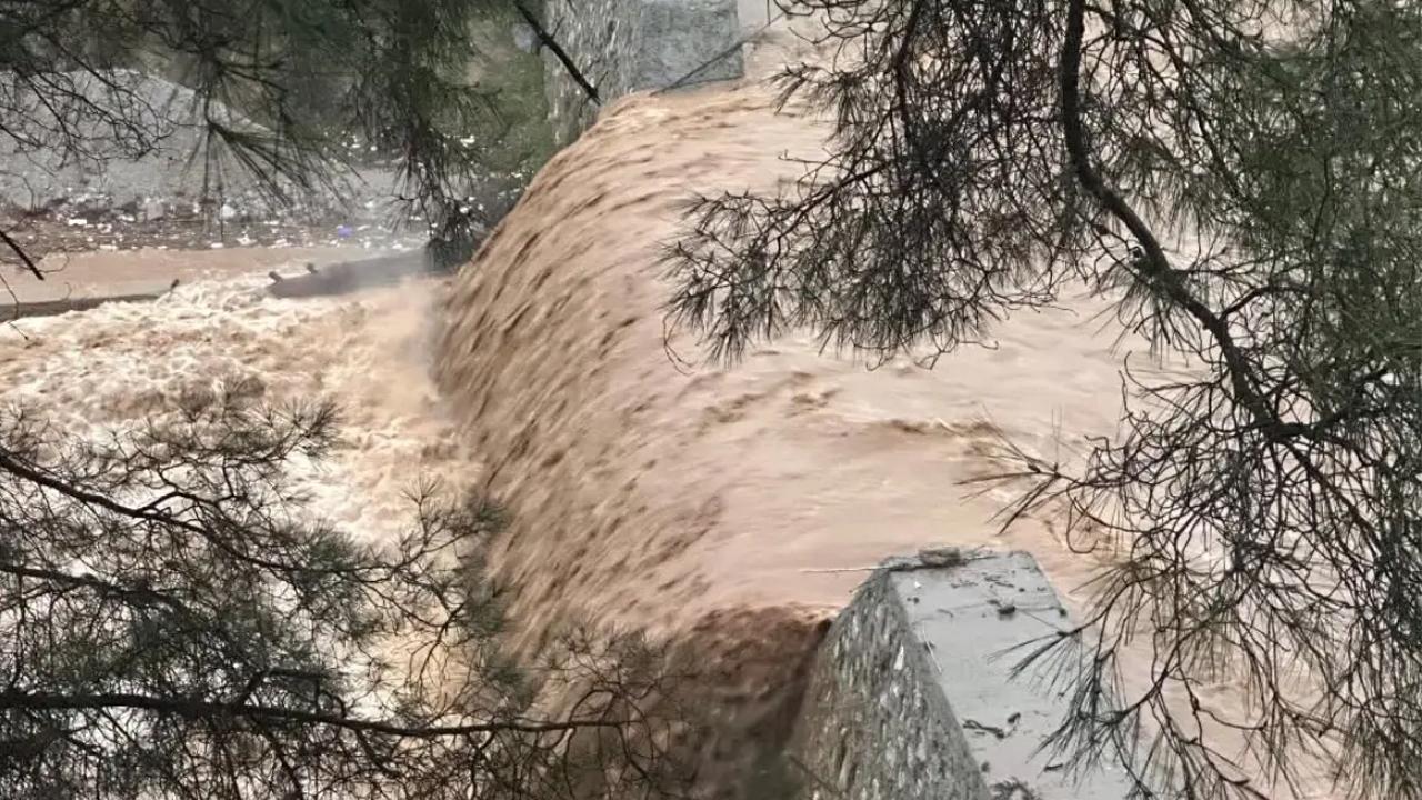 Aydın'da dere taştı! Evler tahliye edildi