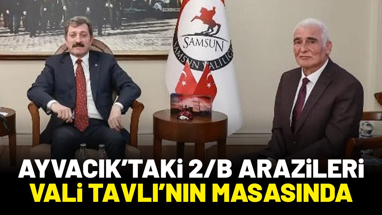 Ayvacık’taki 2/B arazileri Vali Tavlı’nın masasında