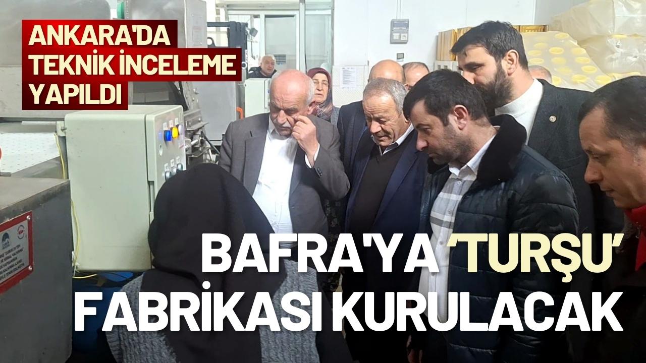 Bafra'ya ‘turşu’ fabrikası kurulacak