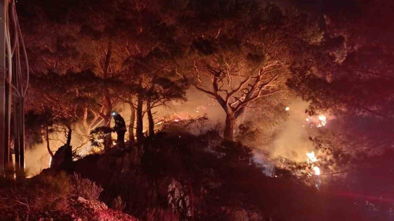 Bodrum’da ormanlık alan alev alev yandı!