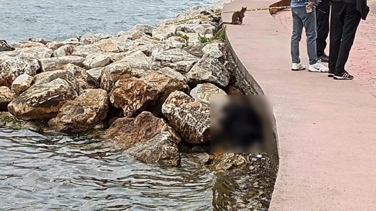 Çanakkale’de kayalıklara vurmuş ceset bulundu