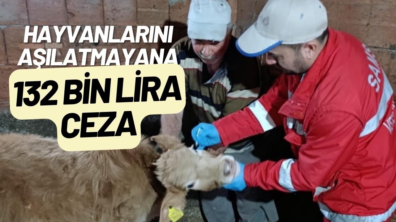 Hayvanlarını aşılatmayana 132 bin TL ceza