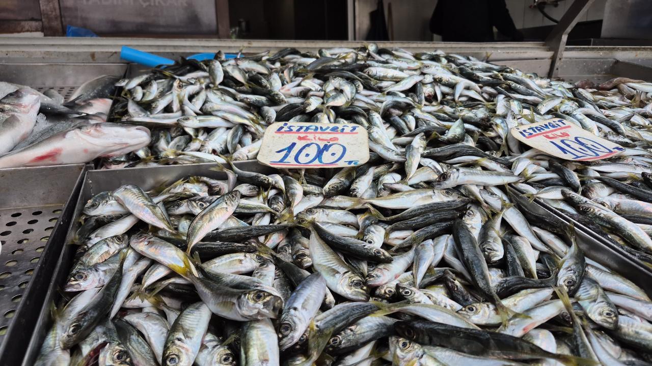Karadeniz'de hamsi gitti istavrit geldi