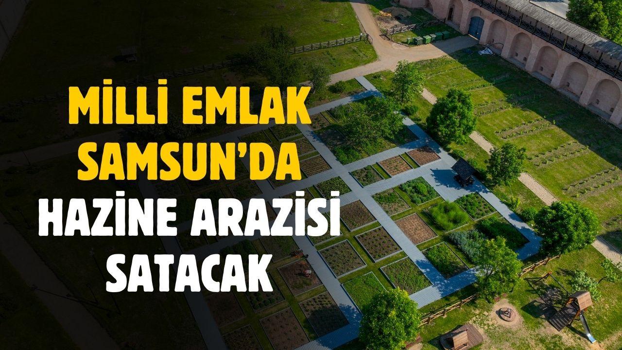 Milli Emlak Samsun Vezirköprü'de hazine arazisi satacak
