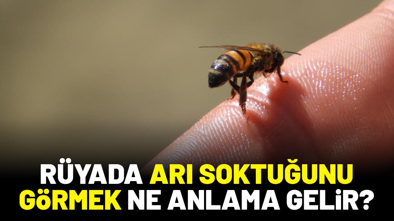 Rüyada arı soktuğunu görmek ne anlama gelir?