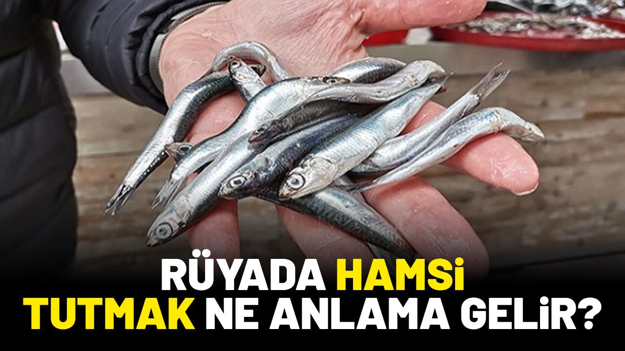 Rüyada hamsi tutmak ne anlama gelir?