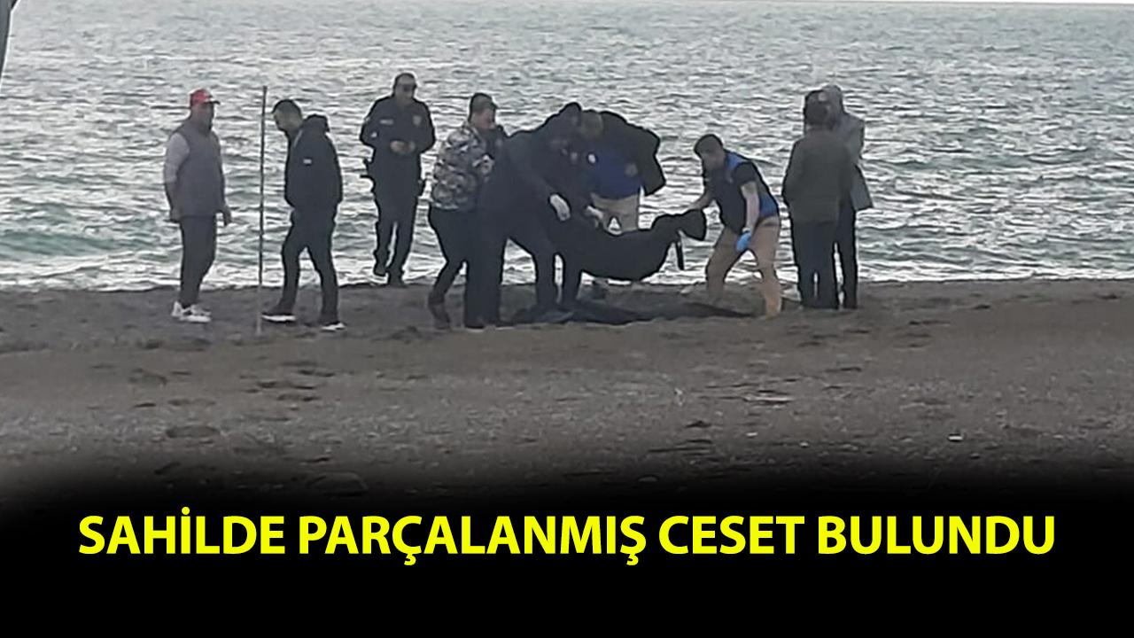 Sahilde parçalanmış erkek cesedi bulundu