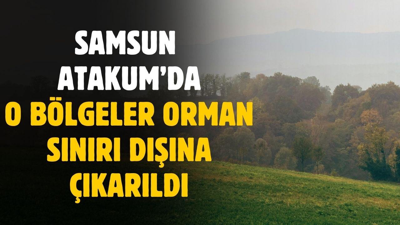 Samsun Atakum'da o bölgeler orman sınırı dışına çıkarıldı