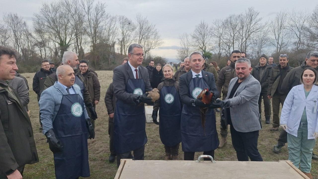Samsun Kızılırmak Deltası'nda yaban hayvanları doğayla buluşturuldu