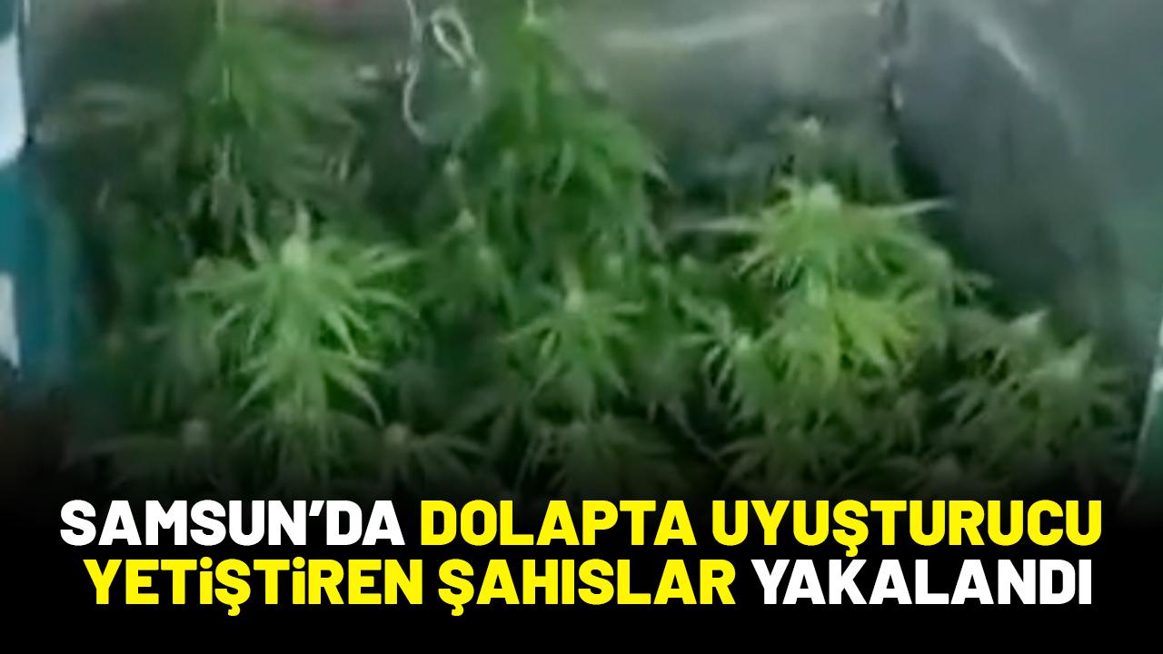 Samsun'da dolapta uyuşturucu yetiştiren şahıslar yakalandı