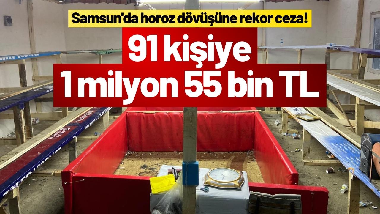 Samsun'da horoz dövüşüne rekor ceza! 91 kişiye 1 milyon 55 bin TL