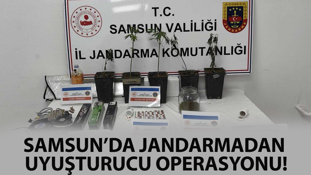 Samsun'da jandarmadan uyuşturucu operasyonu!