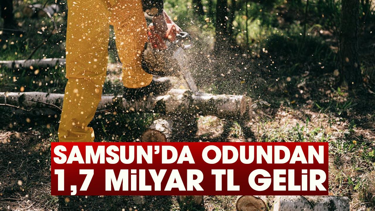 Samsun’da odundan 1,7 milyar TL gelir