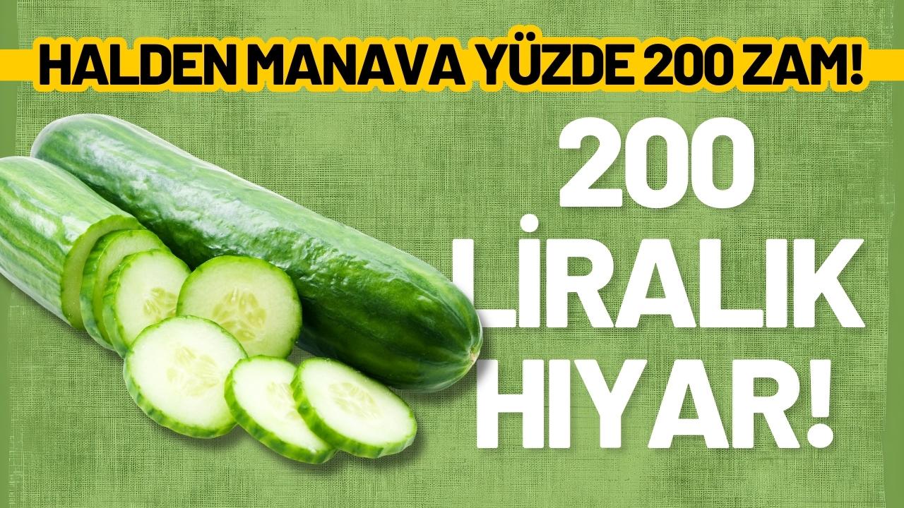 Samsun'da salatalık fiyatları rekor kırdı!