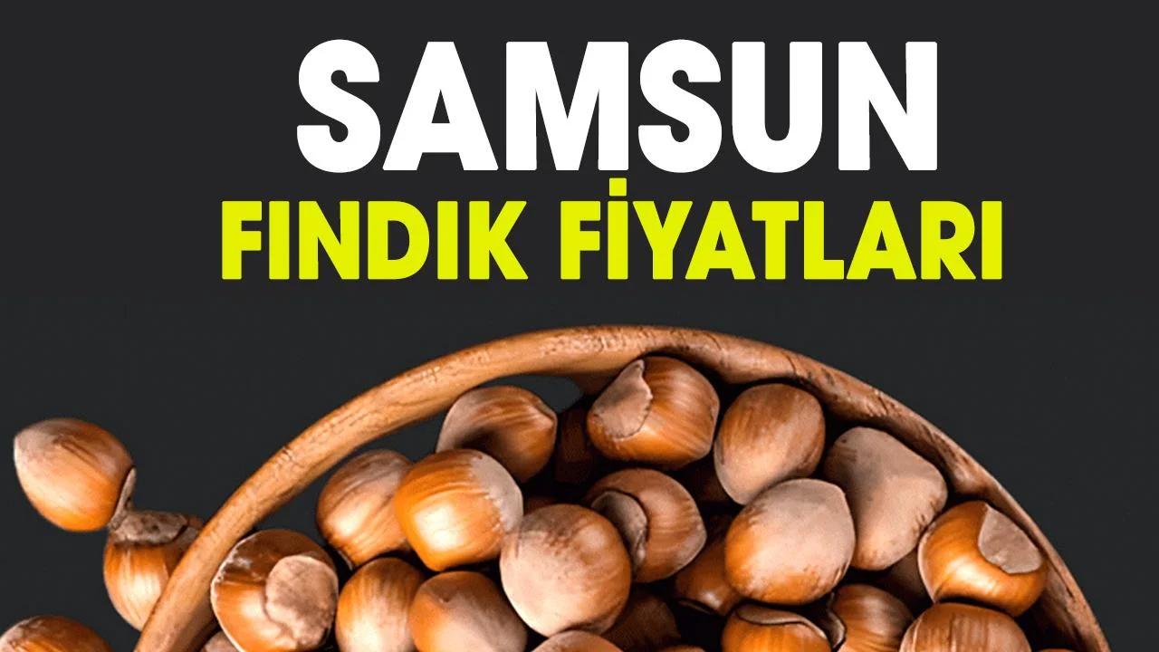 29 Mart Pazar fındık fiyatları ne kadar? Samsun fındık fiyatları