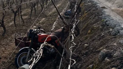 Motosiklet üzüm bağına uçtu: 1 ölü