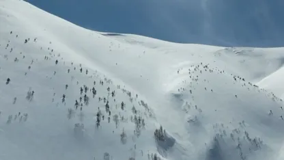 Çığ faciası: Kayıp kişi için çalışmalar 86 gündür sürüyor