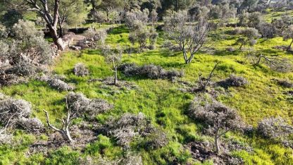 Böyle öfke görülmedi, bir gecede kesip ortadan kayboldular