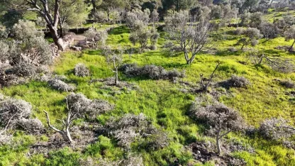 Böyle öfke görülmedi, bir gecede kesip ortadan kayboldular