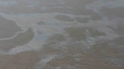 Boru hattındaki sızıntı nedeniyle petrol Dicle Nehrine karıştı