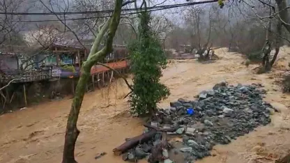 Sağanak yağışta dereler taştı, 5 büyükbaş hayvan telef oldu