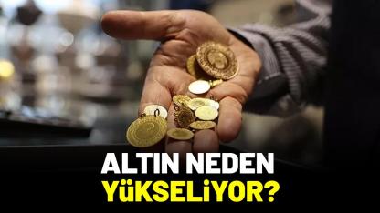 Altın neden yükseliyor?