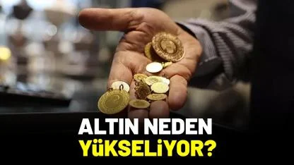 Altın neden yükseliyor?