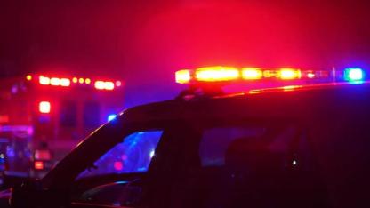 Atakum’da 5 sokak köpeği barınağa alındı