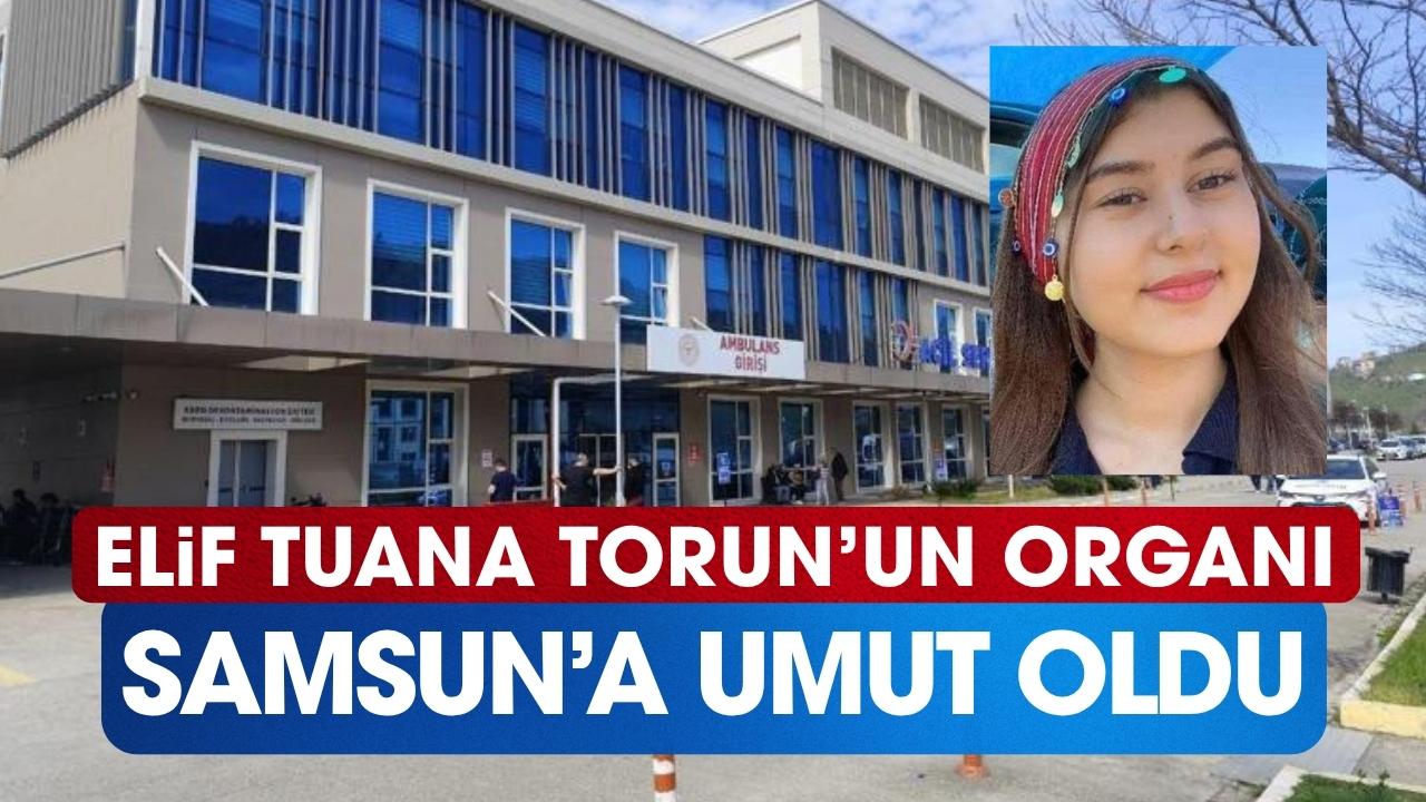 Elif Tuana Torun'un organı Samsun'a umut oldu