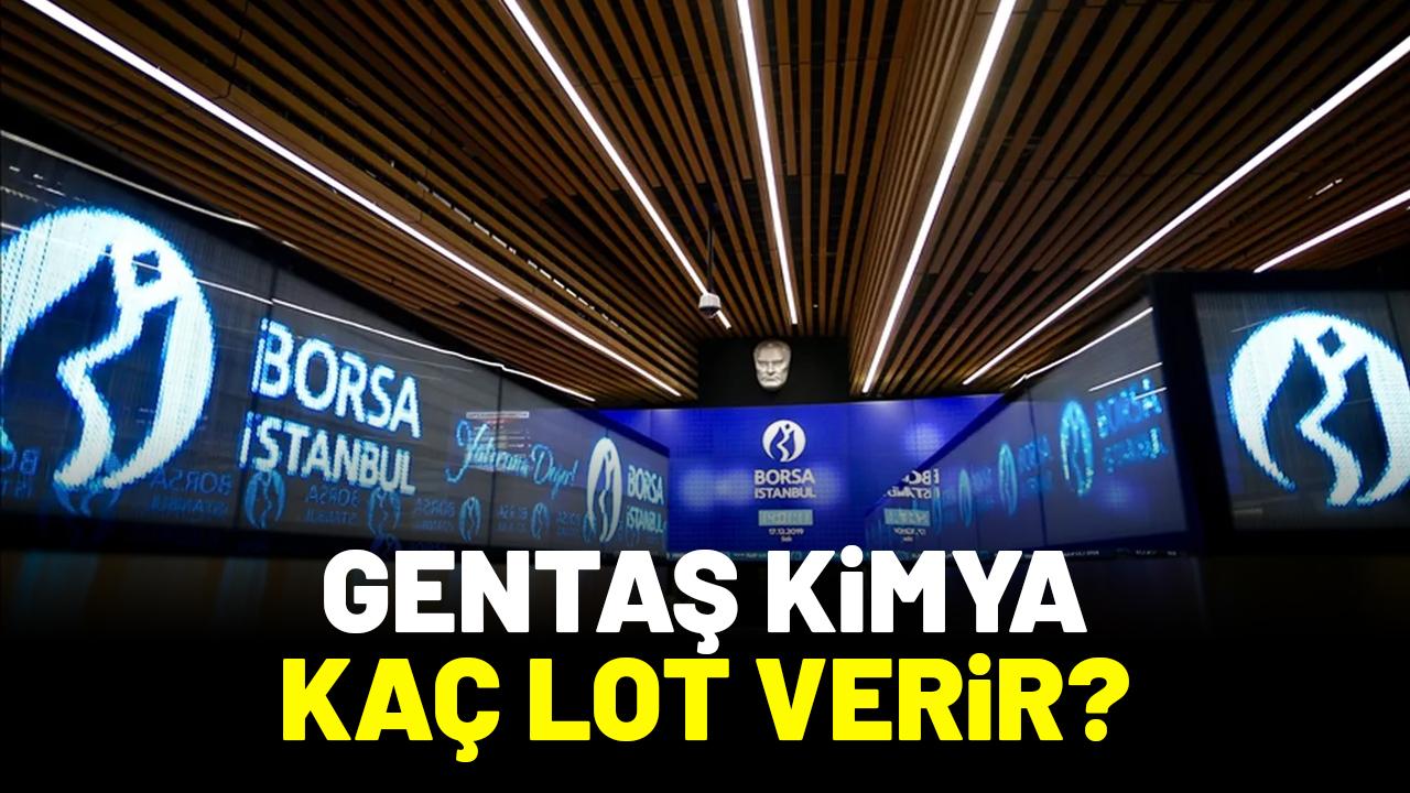Gentaş Kimya halka arz kaç lot verir?