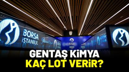 Gentaş Kimya halka arz kaç lot verir?