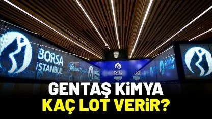 Gentaş Kimya halka arz kaç lot verir?