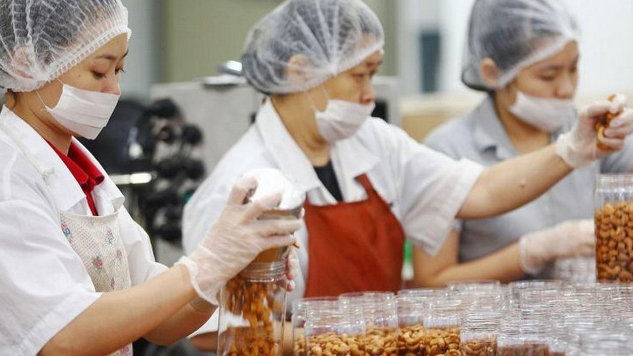 Gıda belgelendirme müdürü nedir, ne iş yapar, ne kadar maaş alır?