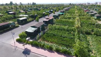 Hobi bahçeleri yıkılacak mı? Resmi açıklama geldi