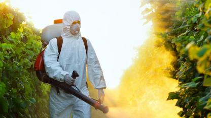 İlaçlama elemanı nedir, ne iş yapar, ne kadar maaş alır?