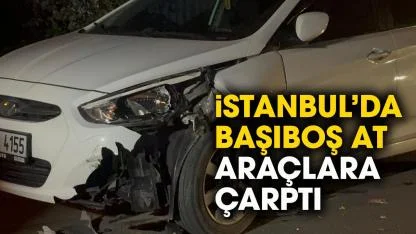İstanbul'da at paniği! Başıboş at park halindeki araçlara çarptı