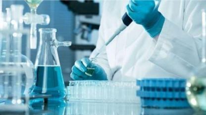 LABORATUVAR HİZMETİ ALINACAKTIR