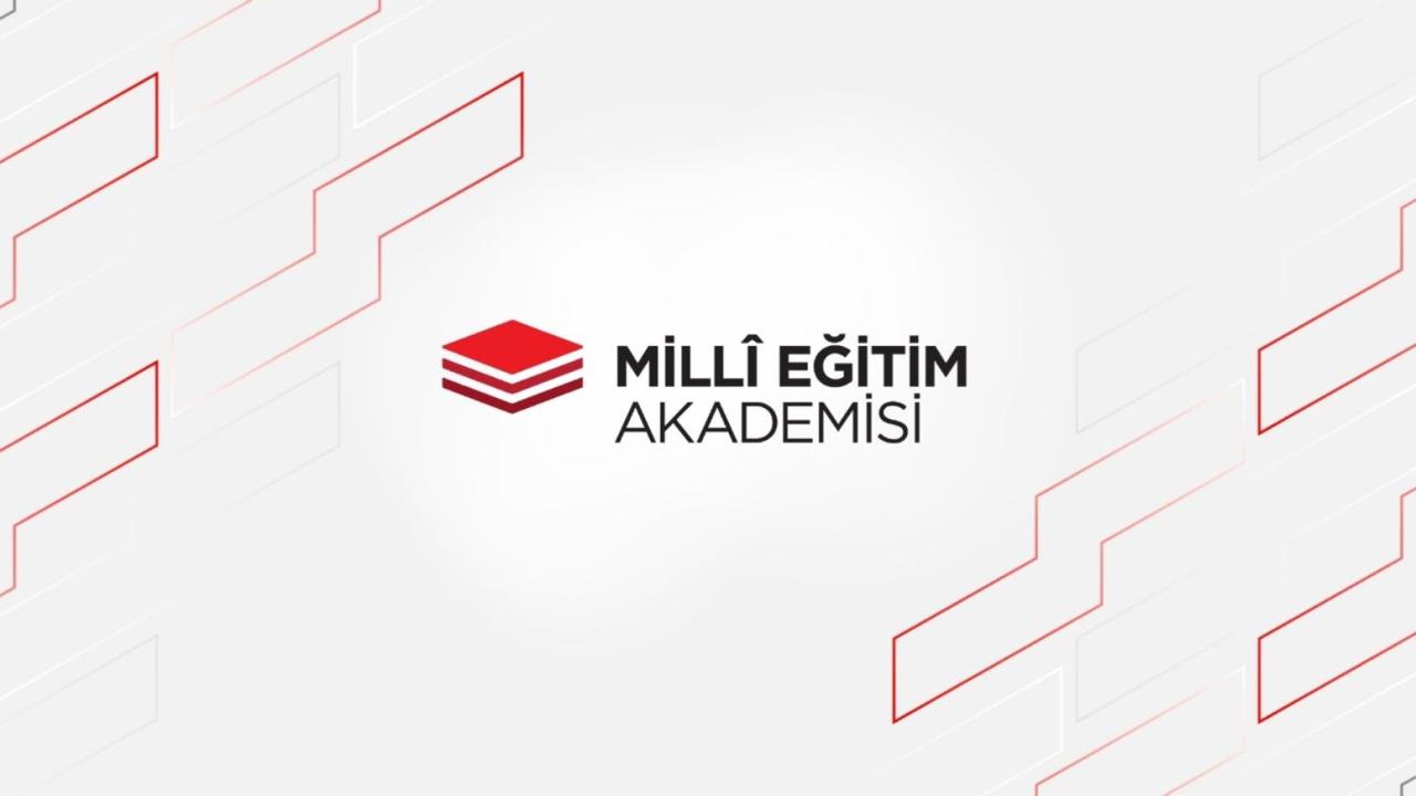 MEB akademisi sonuçları açıklandı