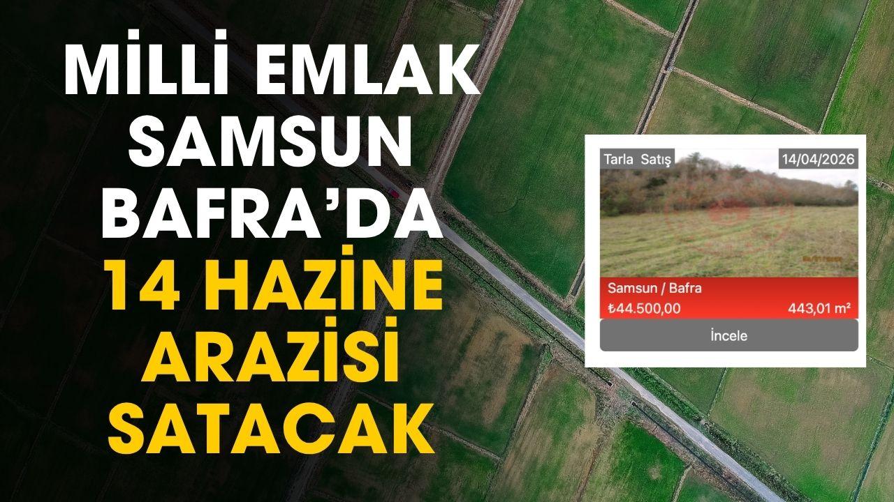 Milli Emlak Samsun Bafra'da 14 hazine arazisi satacak