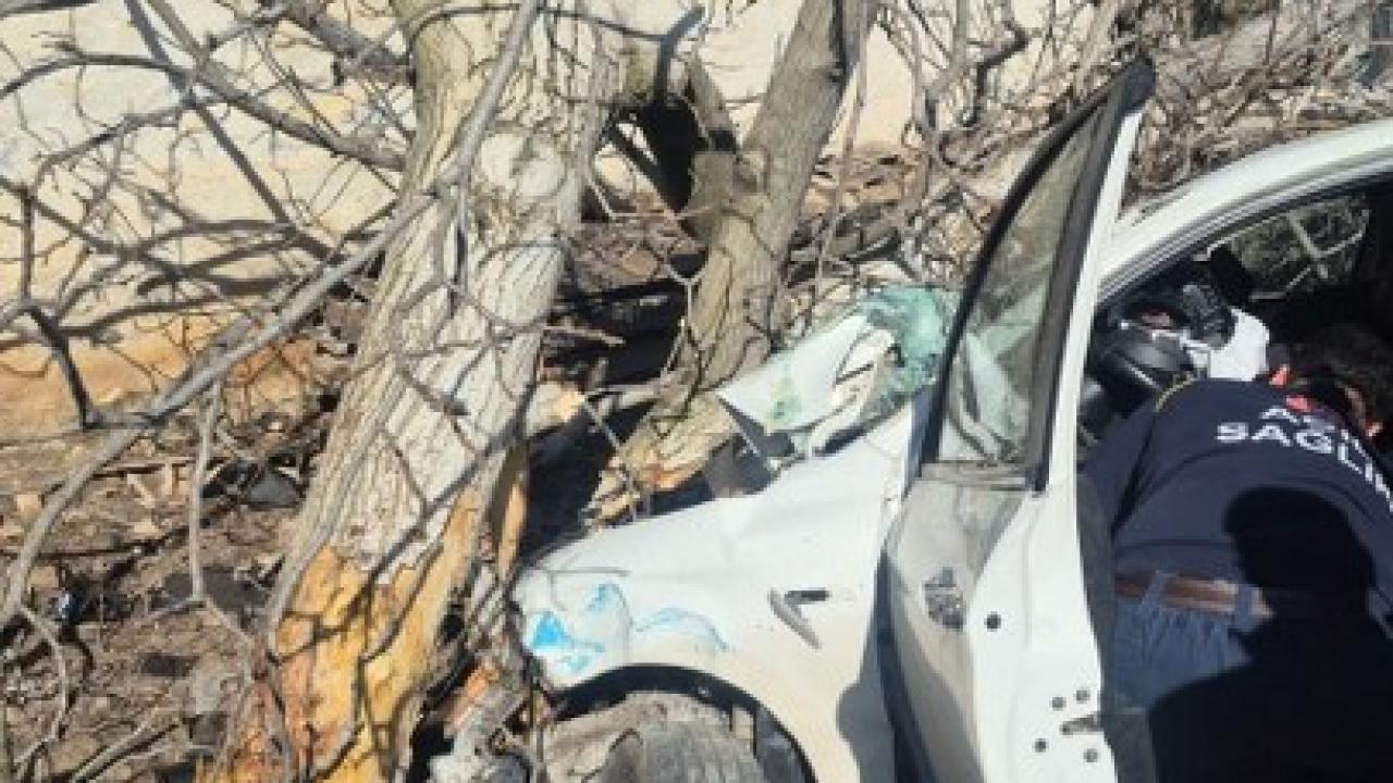Otomobil ağaçlara ok gibi saplandı! 2 ölü, 1 ağır yaralı